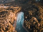 湖 树林