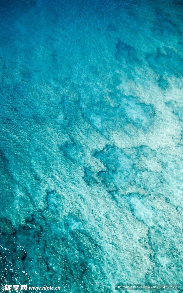 大海