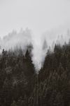 山