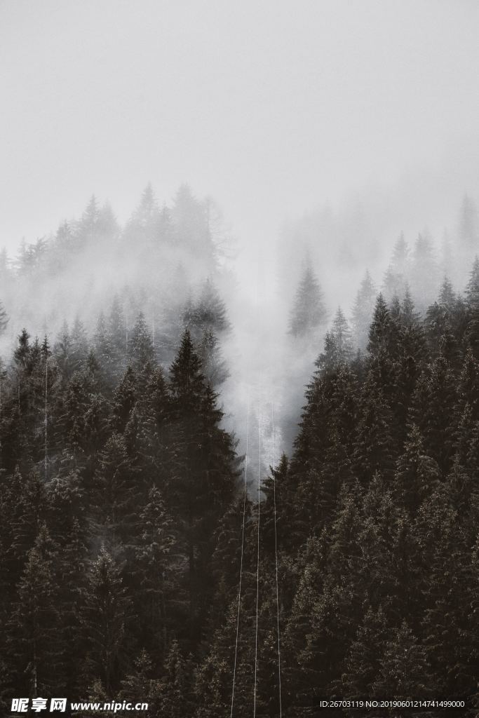 山