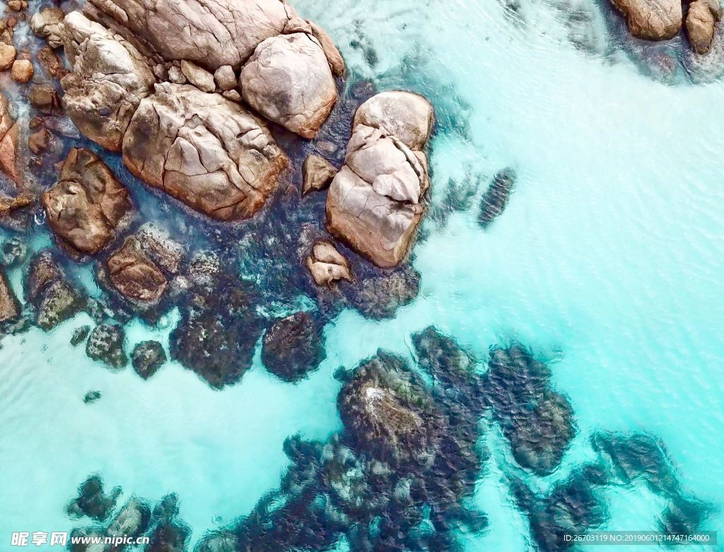 大海