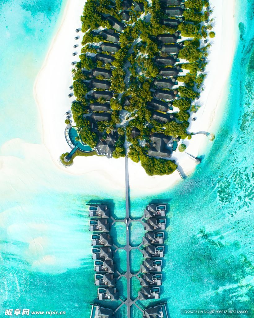 大海