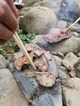烧烤