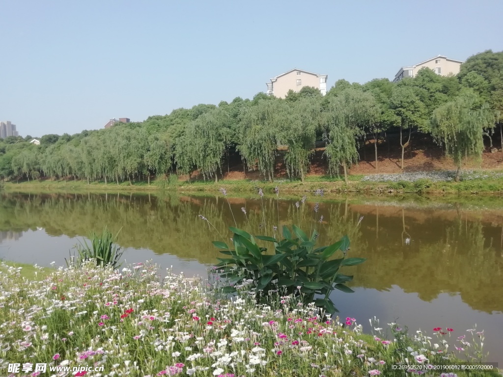 湖岸