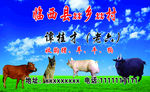 收购动物名片
