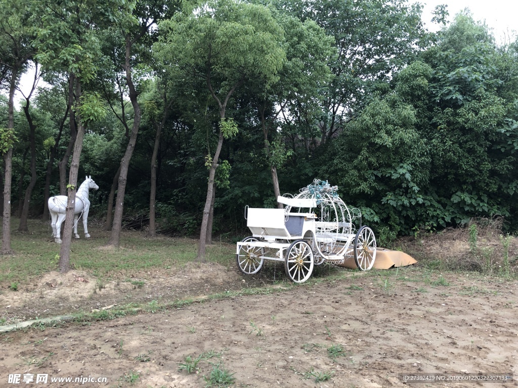 树林
