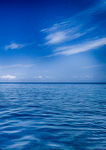 海滩 海洋 自然 天空 水