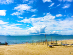 海