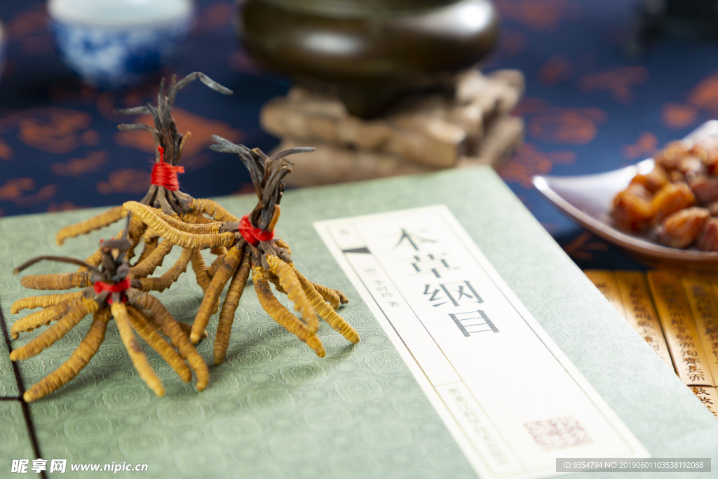 虫草