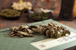 三七片