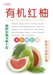 红柚海报