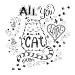 猫