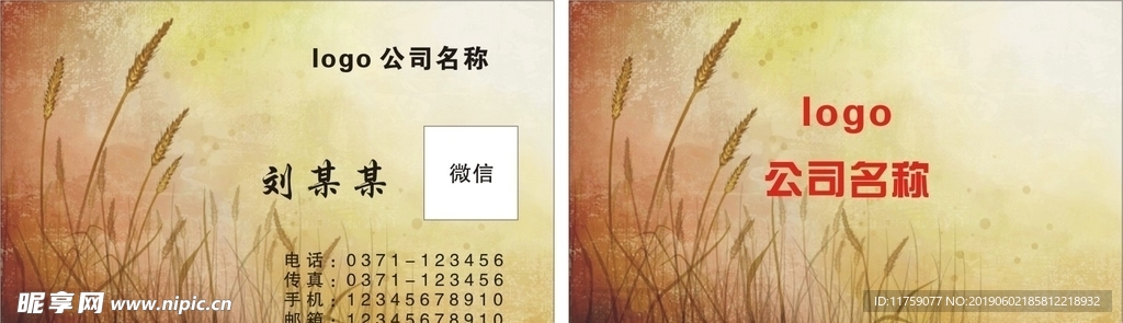 简画小麦名片