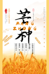 芒种海报