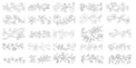 白描花卉植物素材线稿01