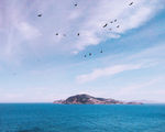 小岛