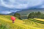 云南梯田