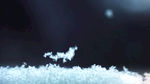 雪花