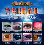 眼疾