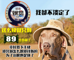 名额告急  活动素材
