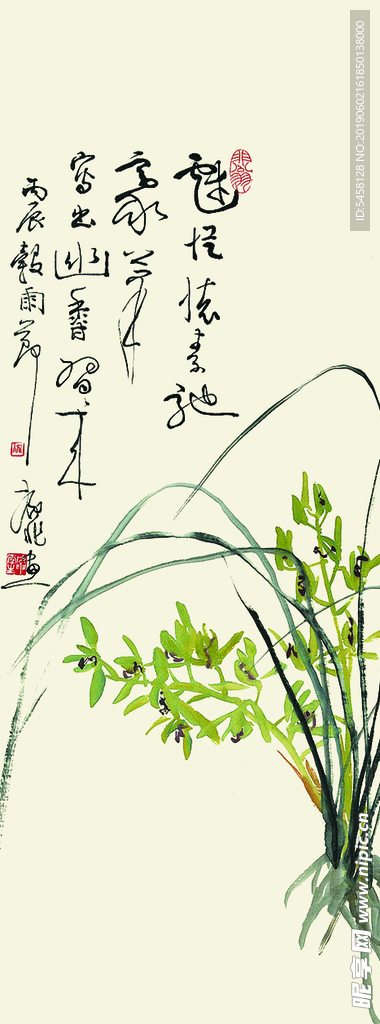 兰花