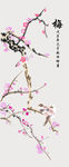 梅花