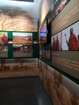非洲展馆