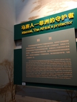 非洲馆