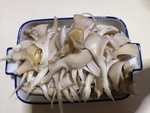 蘑菇食材