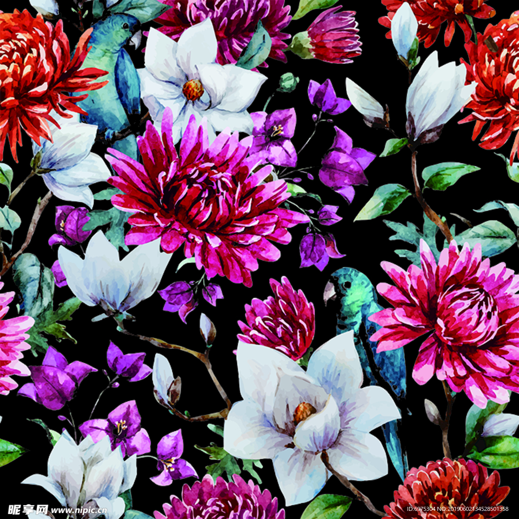 精品花卉