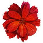 花