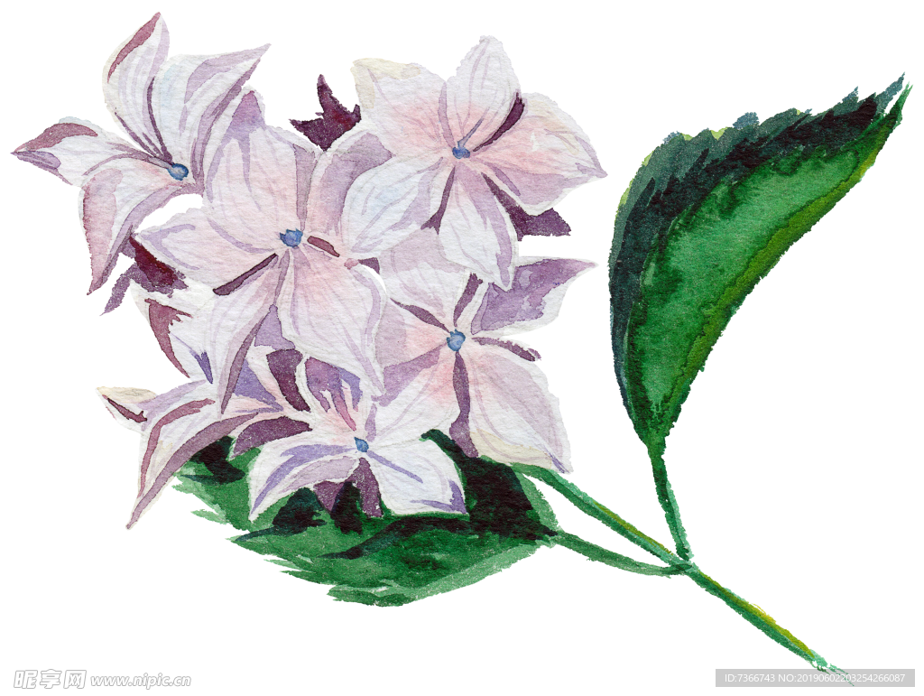 花