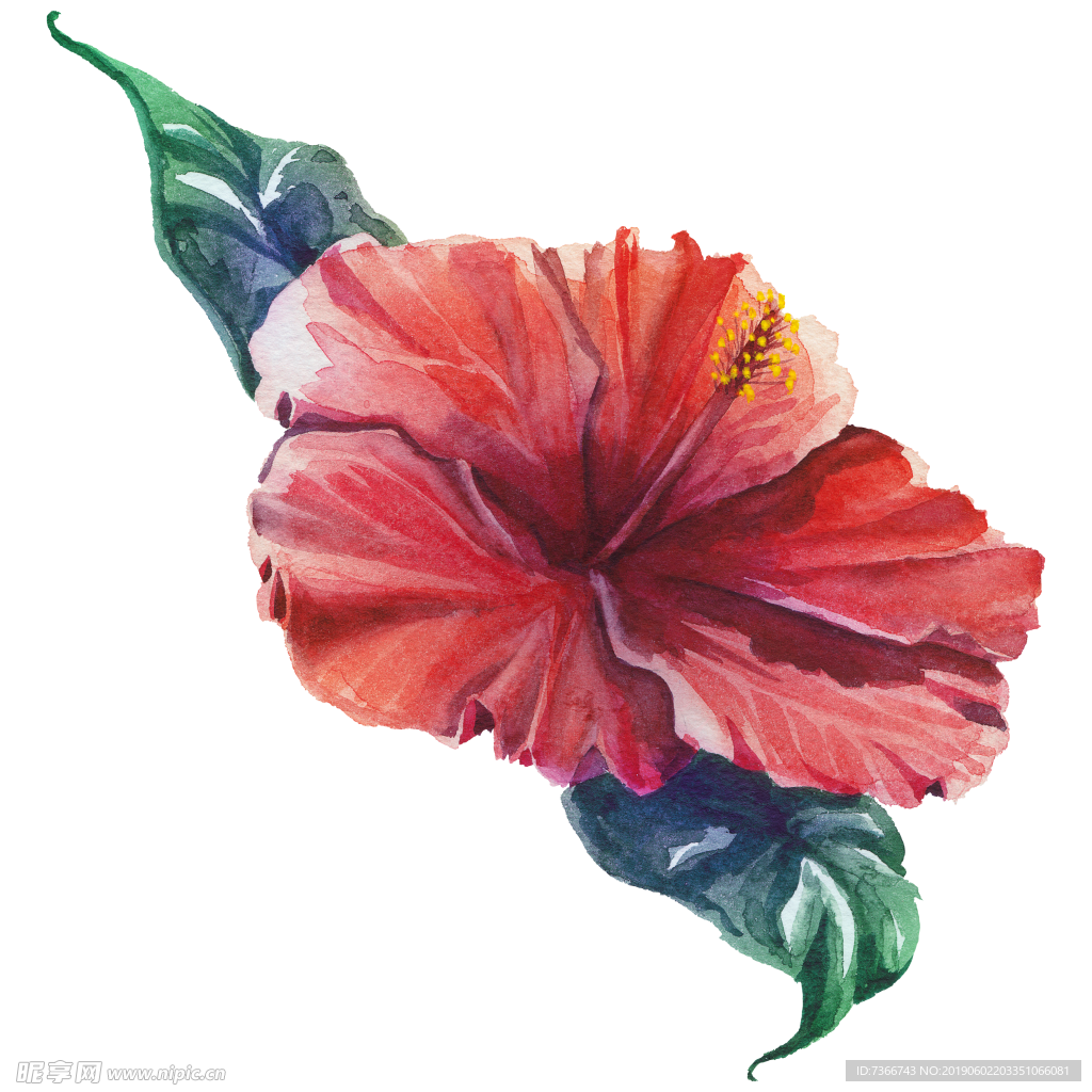 花