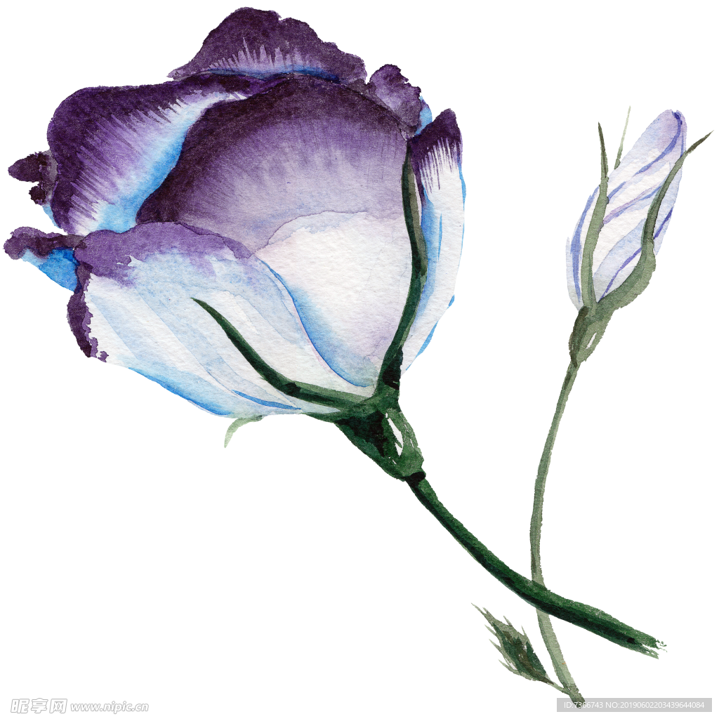 花