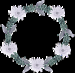 花环花圈