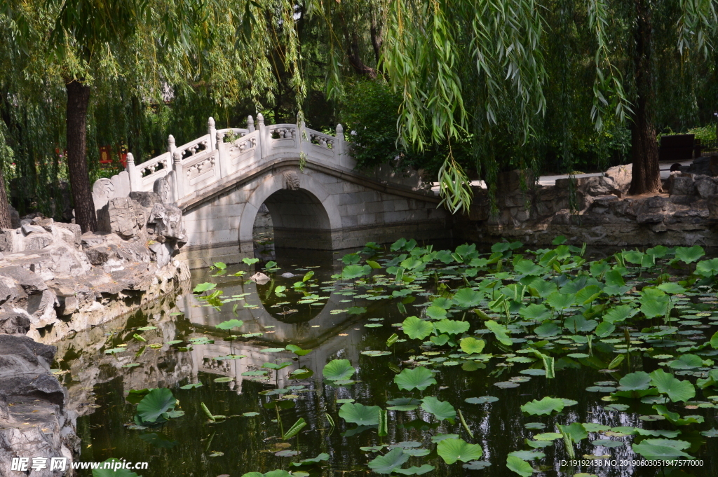 大观园风景