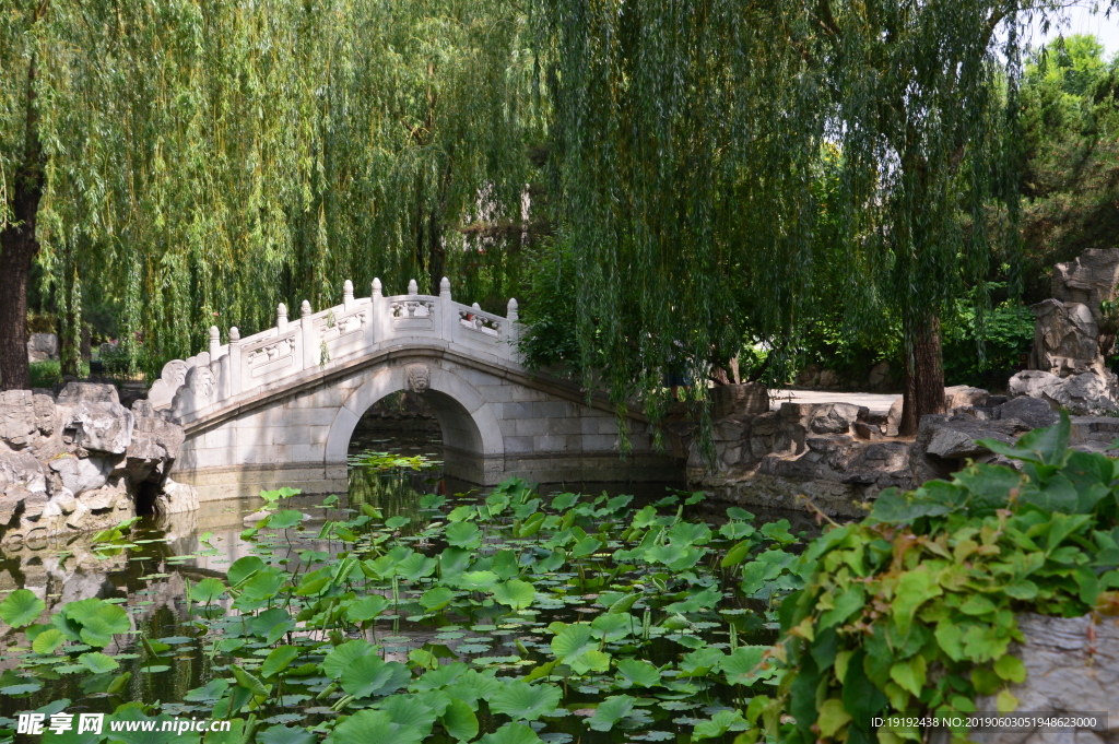 大观园风景