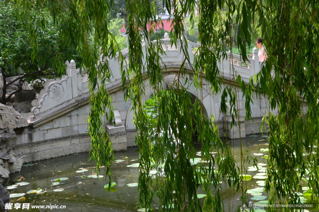 大观园风景