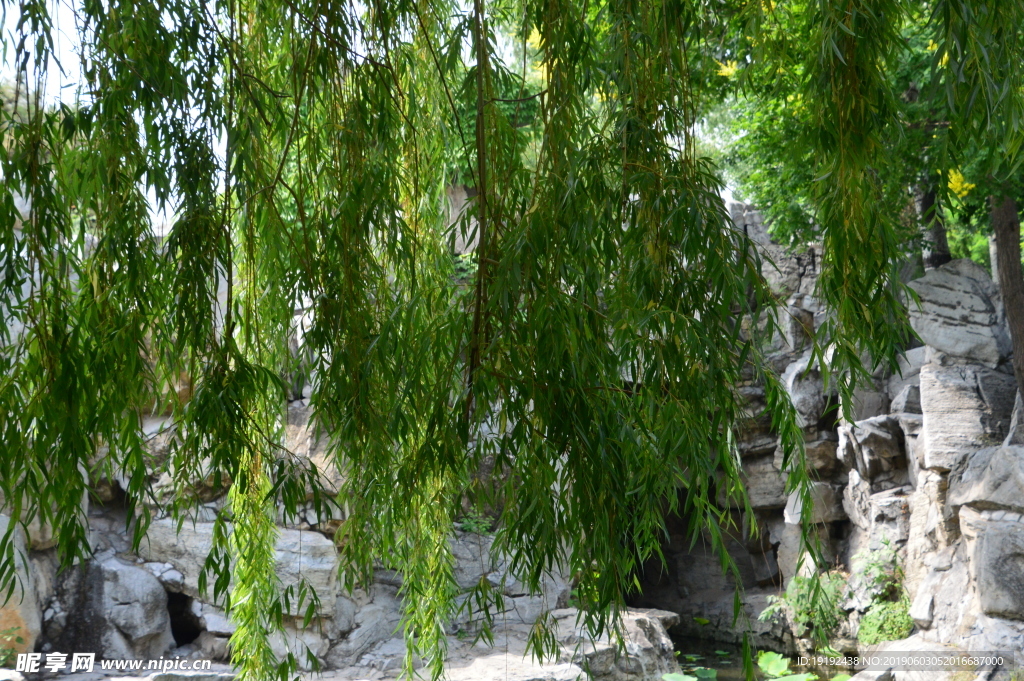 大观园风景