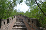 秦皇古择道