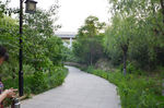 路