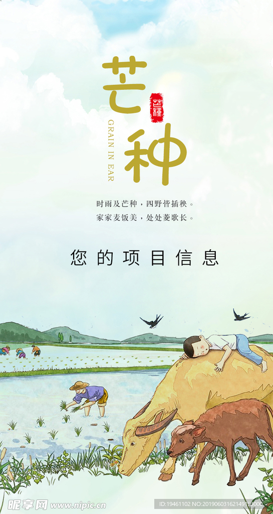 芒种微信