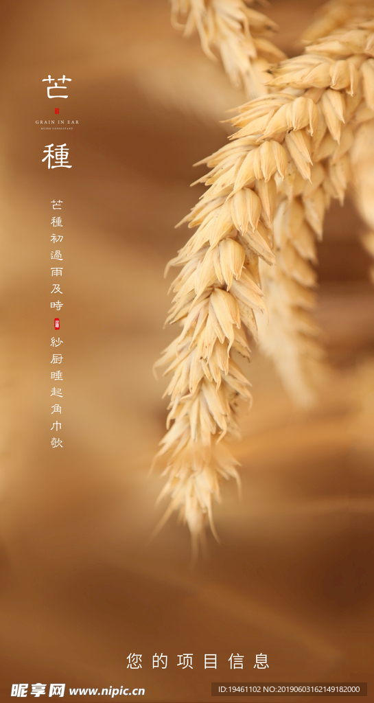 芒种微信