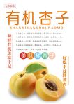 杏子海报