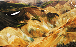 风景