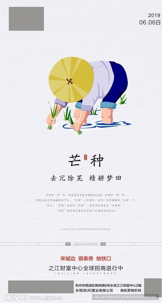 芒种