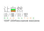 字体排版