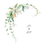 彩绘百合花