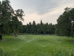 绿草地  绿树