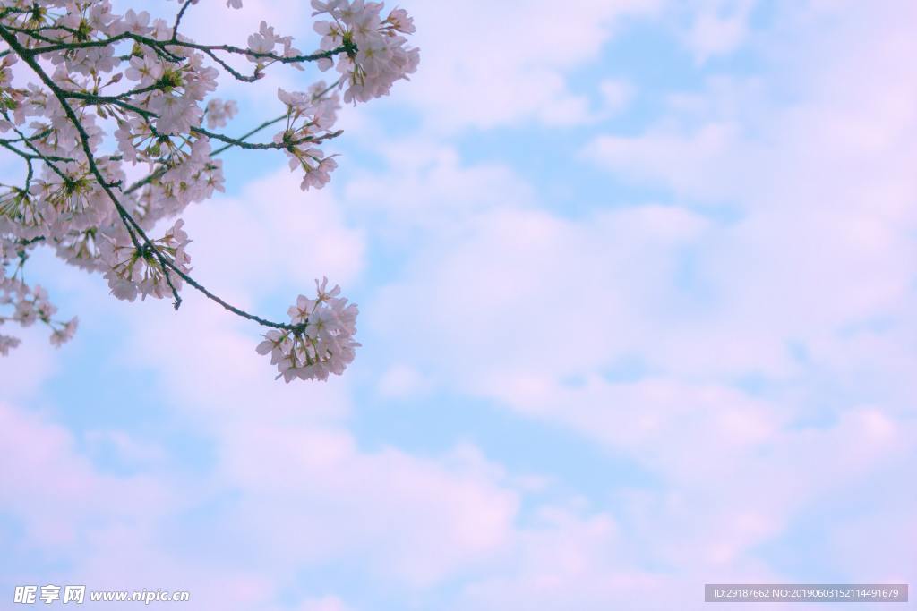 天空